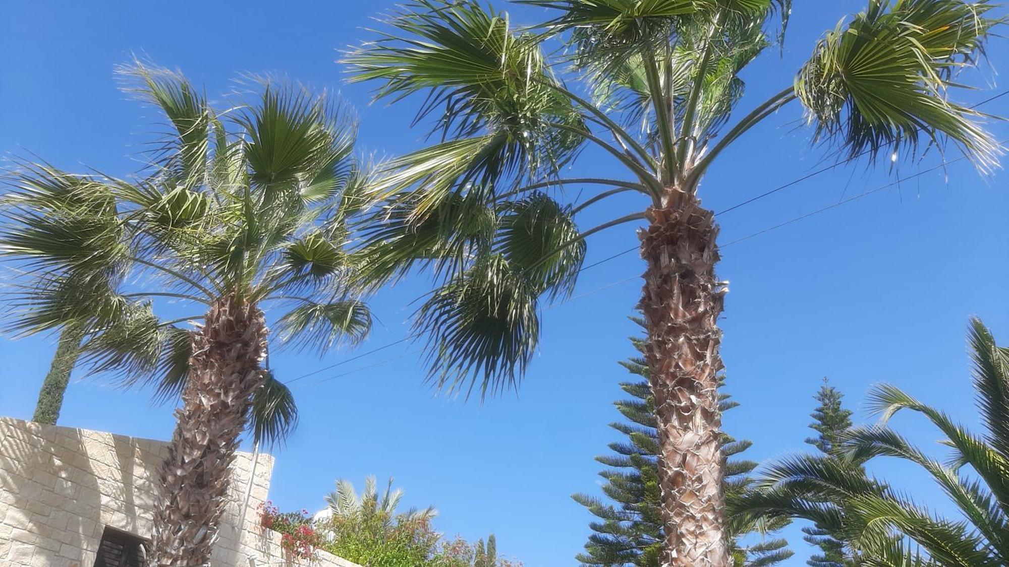 Villa Holiday: Seafront Retreat With Pool In Paphos